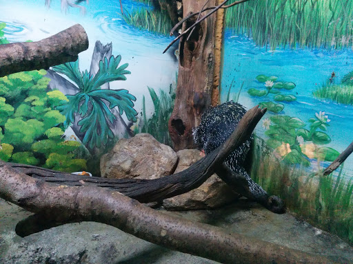 Zoo «Alligator Adventure», reviews and photos, 4604 Hwy 17 S, North Myrtle Beach, SC 29582, USA