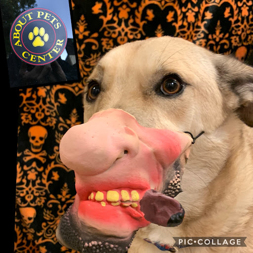 Pet Boarding Service «About Pets Center», reviews and photos, 1604 Conehurst Blvd, Salem, VA 24153, USA