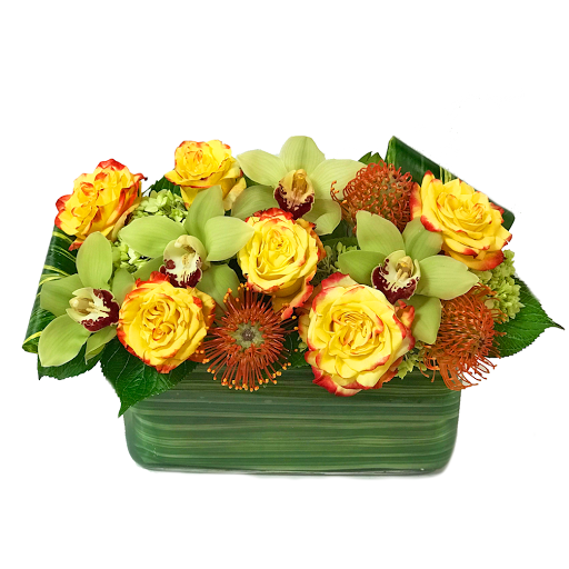 Florist «Ashland Addison Florist Company», reviews and photos, 10034 W Roosevelt Rd, Westchester, IL 60154, USA