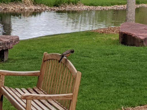 Botanical Garden «The Hudson Gardens & Event Center», reviews and photos, 6115 S Santa Fe Dr, Littleton, CO 80120, USA