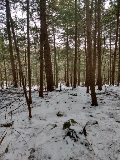 Tim’s Trail – The Nature Conservancy