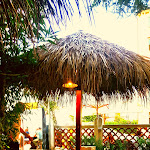 Photo n°1 de l'avis de Romy.e fait le 09/08/2017 à 00:40 sur le  No Pasa Nada café wine bar à Venice