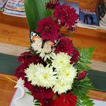 Photo n°4 de l'avis de Spengler.a fait le 25/10/2018 à 11:53 sur le  Hotel Quinta Alegre à Estreito da Calheta