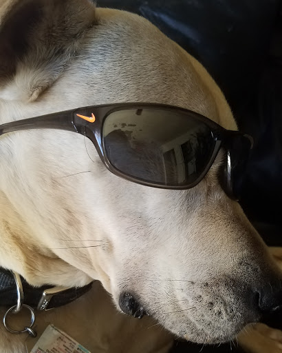 Eye Care Center «Coastal Vision Center, Inc.», reviews and photos, 3858 W Carson St #110, Torrance, CA 90503, USA