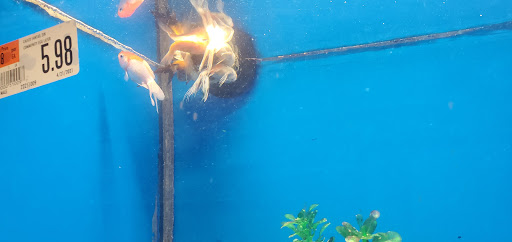 Pet Supply Store «Pet Supplies Plus», reviews and photos, 8703 W Grand River Ave, Brighton, MI 48116, USA