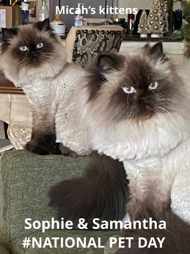 Insurance Agency «Kathleen Alexander - State Farm Insurance Agent», reviews and photos