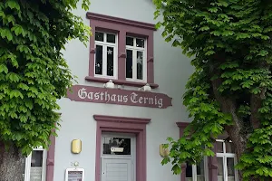 Gasthaus Ternig image