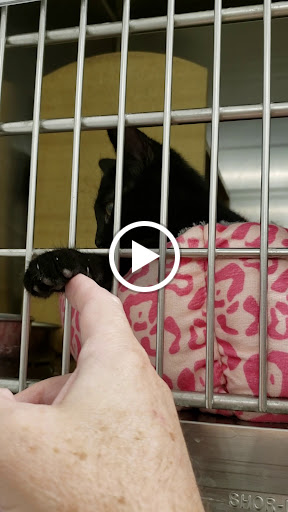 Pet Supply Store «PetSmart», reviews and photos, 10600 Melody Dr, Northglenn, CO 80234, USA