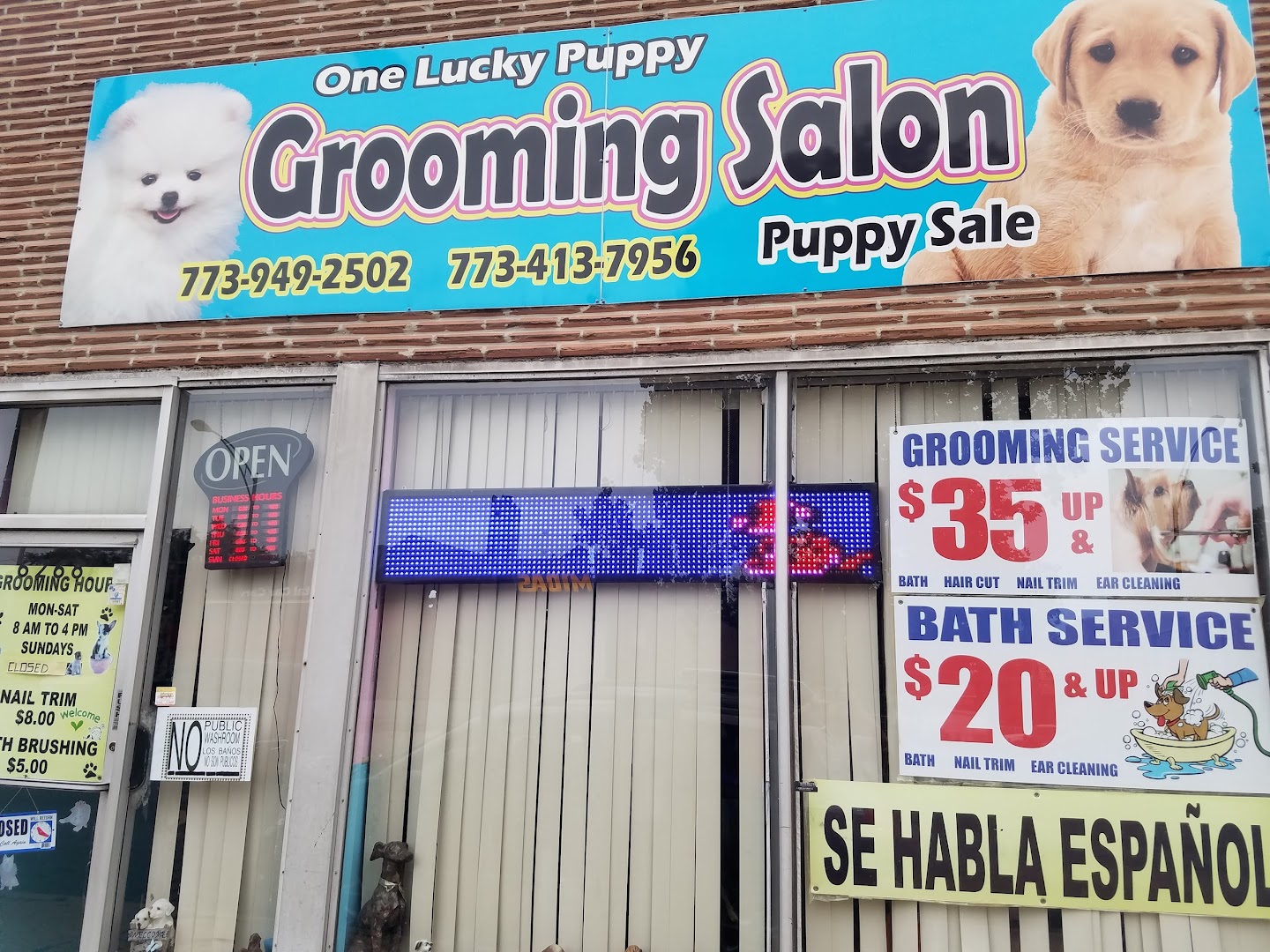 One Lucky Puppy Grooming Salon