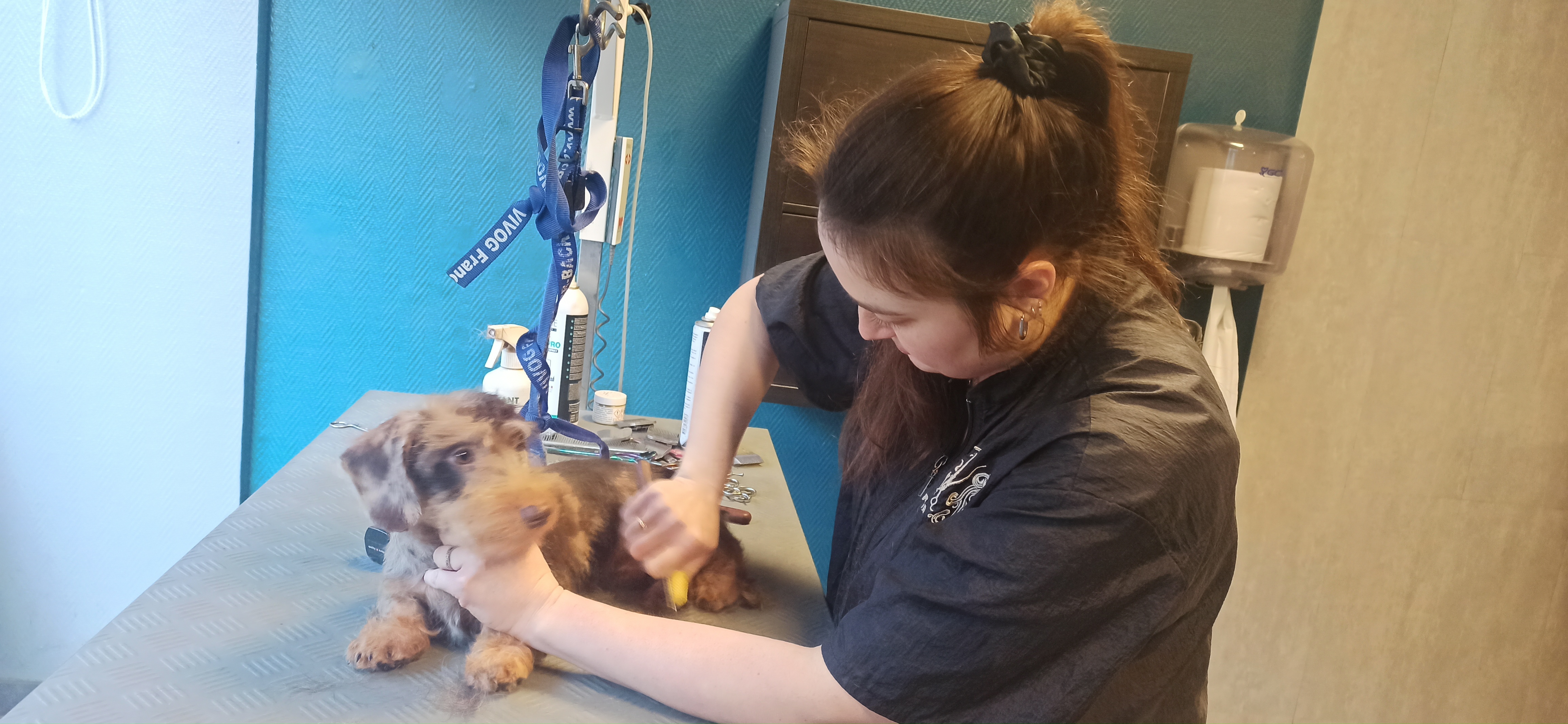 Photo n° 2 de l'avis de Florence.e fait le 18/01/2024 à 08:26