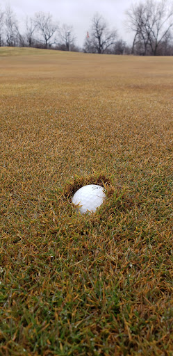 Golf Club «Gateway National Golf Links», reviews and photos, 18 Golf Dr, Madison, IL 62060, USA