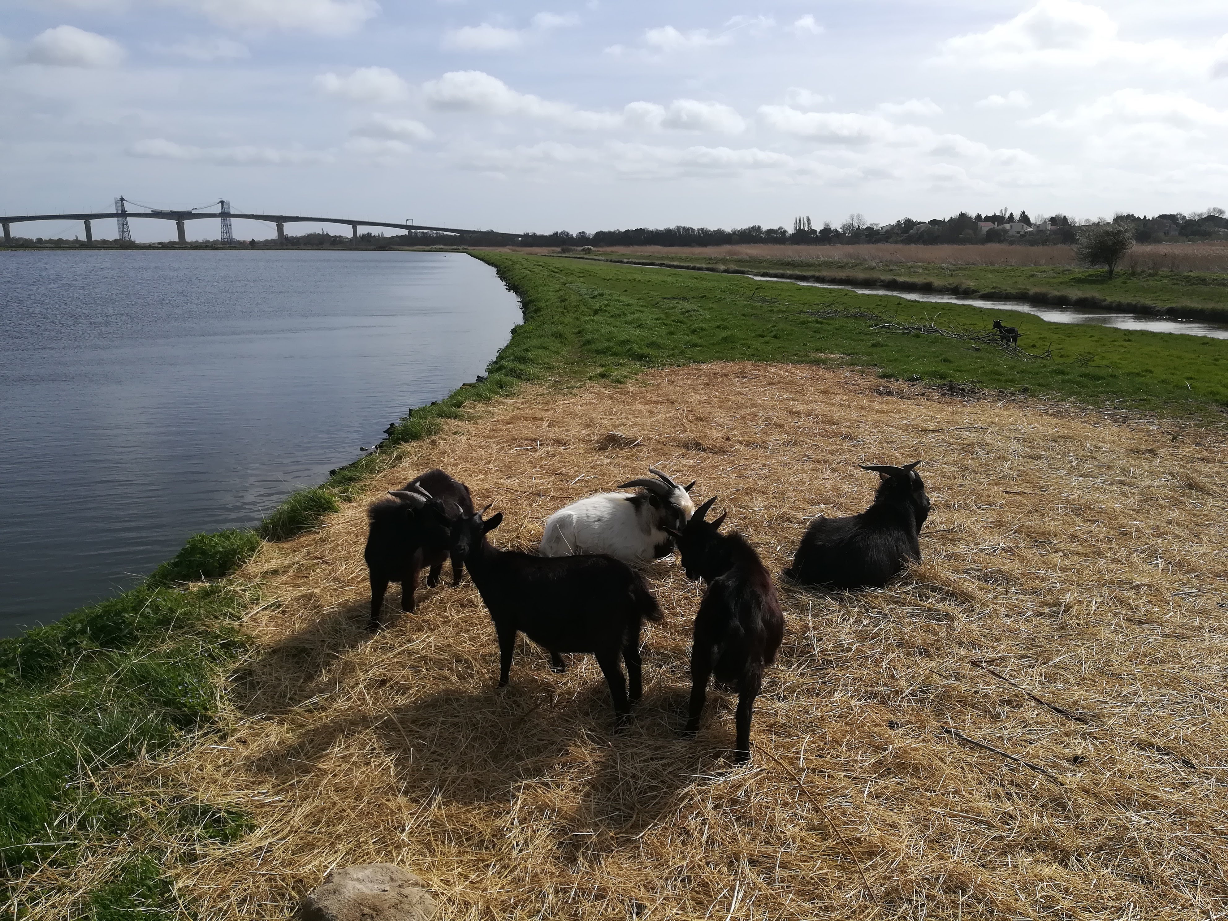 Photo n° 21 de l'avis de Nathalie.e fait le 12/03/2019 à 11:58