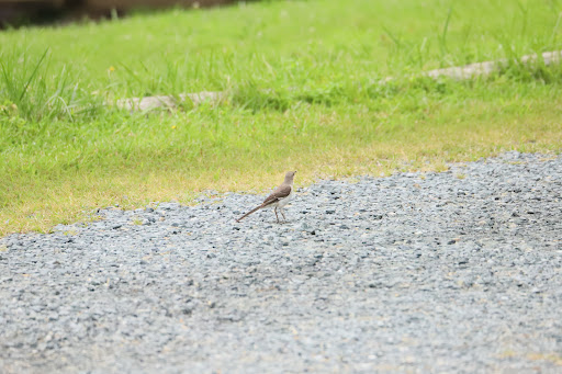 Park «Harford Glen Park», reviews and photos, 502 W Wheel Rd, Bel Air, MD 21015, USA