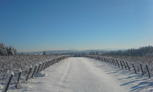 Winery «Ardiri Winery & Vineyards», reviews and photos, 35040 Southwest Unger Road, Cornelius, OR 97113, USA