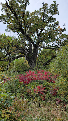 Nature Preserve «Nippersink Forest Preserve», reviews and photos, 900 W Belvidere Rd, Round Lake, IL 60073, USA