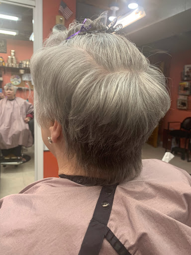 Beauty Salon «Signature Hairstyle Beauty Salon», reviews and photos, 10526 Old Olive Street Rd, Creve Coeur, MO 63141, USA