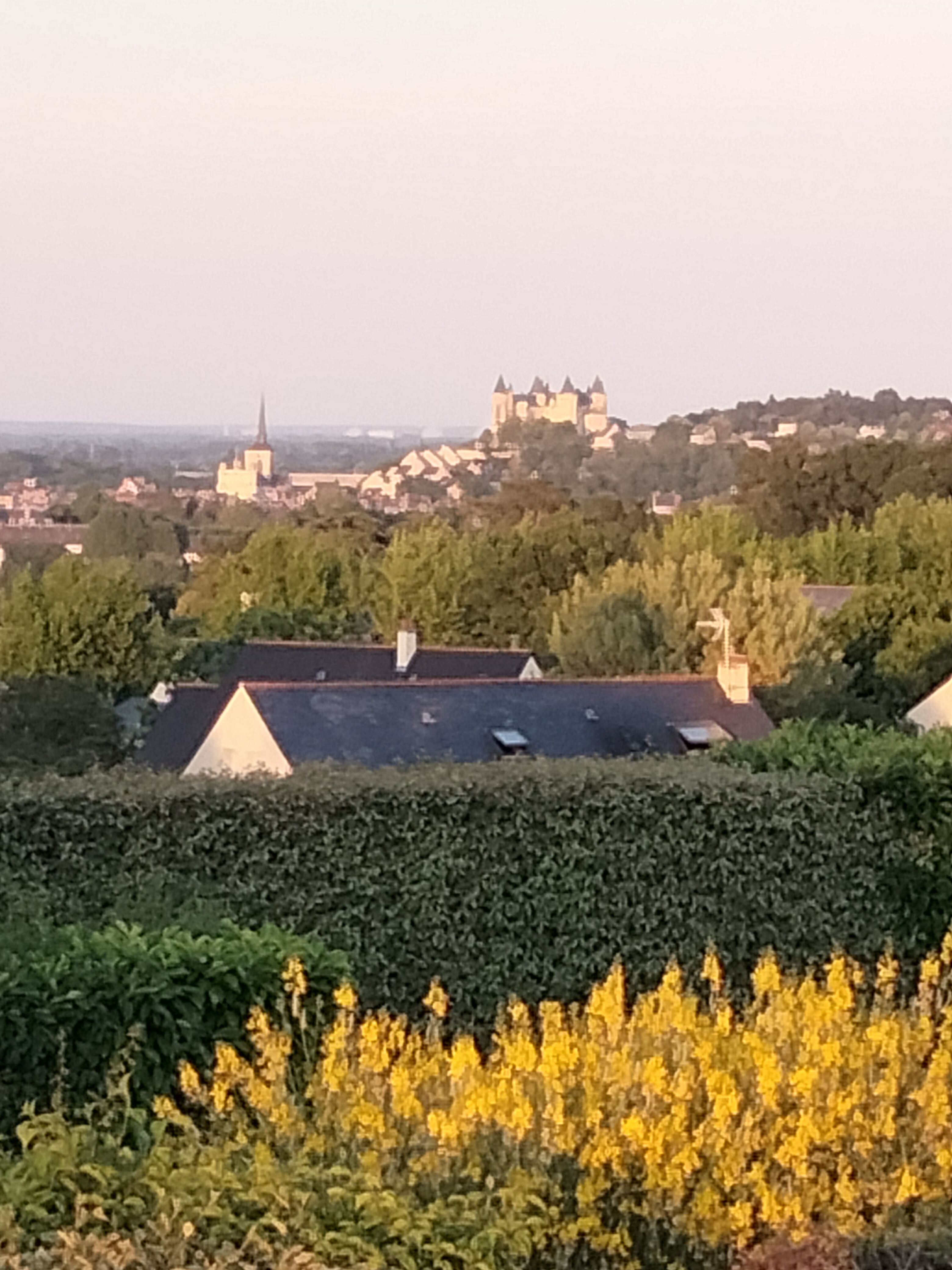 Photo n° 11 de l'avis de Cecile.a fait le 23/07/2023 à 16:09