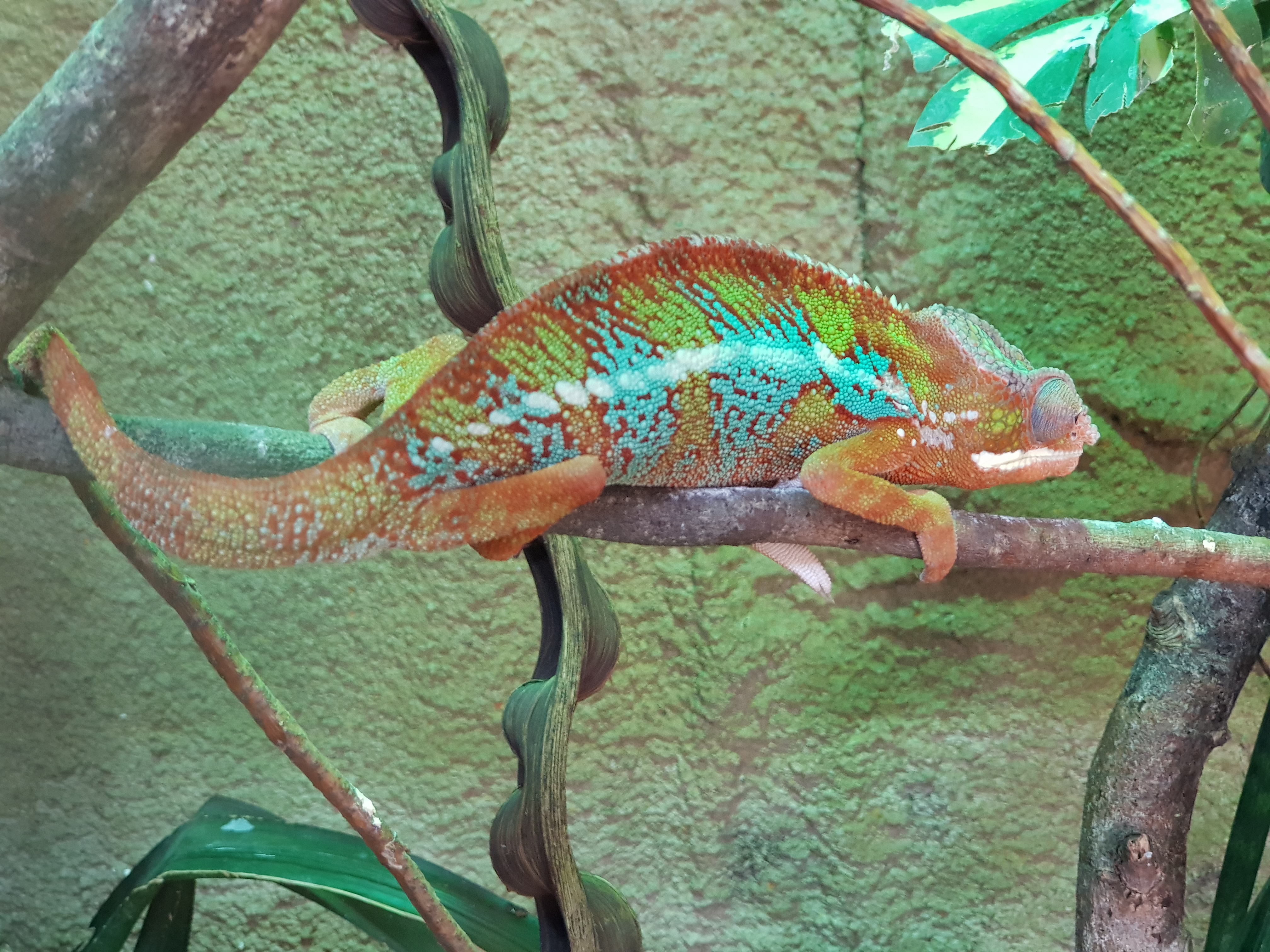 Photo n° 5 de l'avis de Coralie.u fait le 15/08/2023 à 14:53