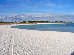 Jettys Tidal Pool Beach'in fotoğrafı çok temiz temizlik seviyesi ile