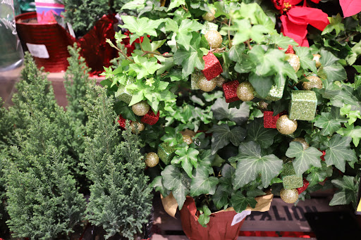 Grocery Store «Food Lion», reviews and photos, 40955 Merchants Ln, Leonardtown, MD 20650, USA