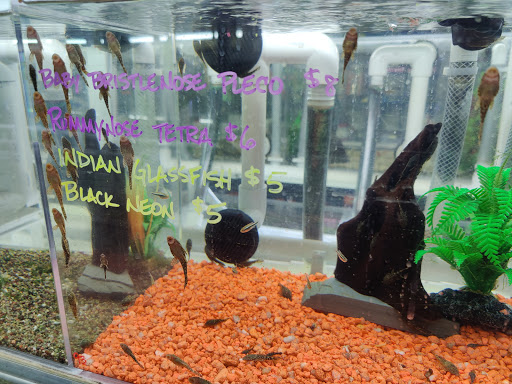 Pet Store «Animart», reviews and photos, 4303 E Towne Way, Madison, WI 53704, USA