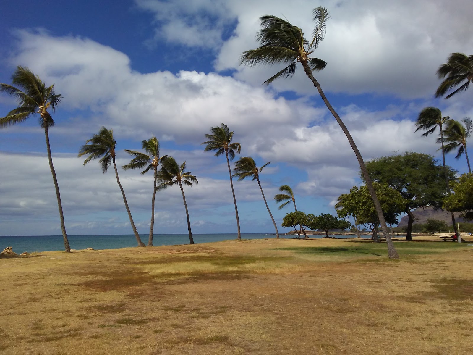 Pokai Bay Beach photo #8