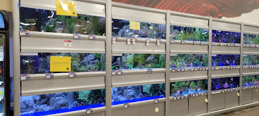 Pet Supply Store «PetSmart», reviews and photos, 13337 Worth Ave, Woodbridge, VA 22192, USA