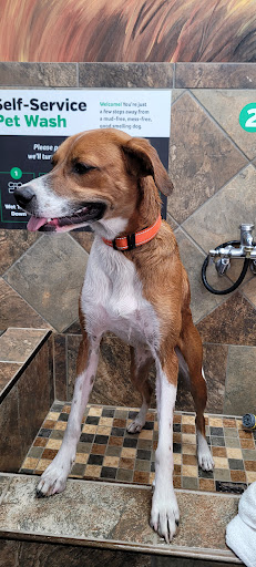 Pet Supplies Plus Lanoka Harbor