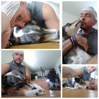 Loved By Us Santa Cruz Pet Sitting & Dog Walking, LLC - Photo 3 - Car repair in , Santa Cruz