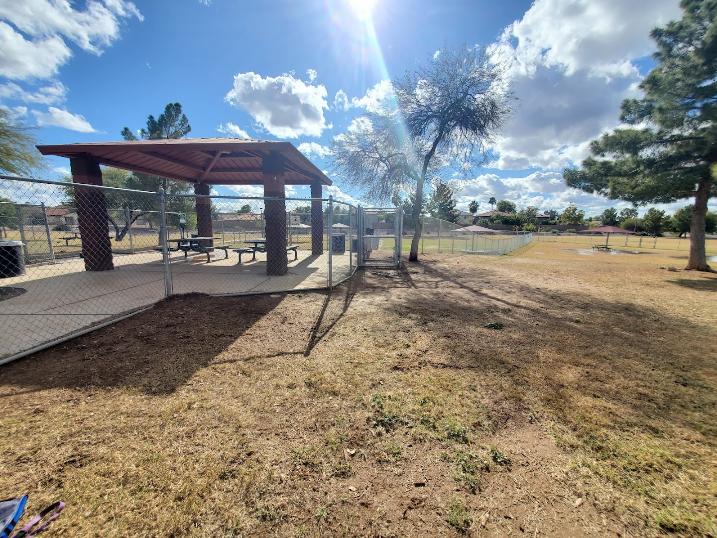 Alta Vista Park Off-leash Dog Park