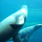 Photo n° 2 de l'avis de James.r fait le 08/08/2023 à 11:30 pour Nausicaa Centre National De La Mer à Boulogne-sur-Mer