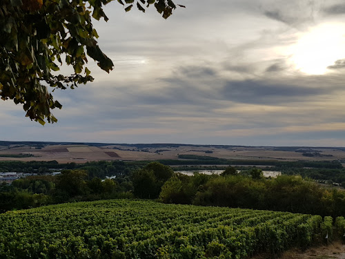 Belvédère de Joigny à Joigny