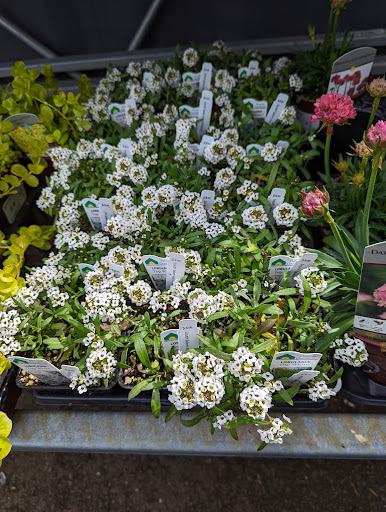 Hardware Store «South Salem Ace Hardware», reviews and photos, 706 Madrona Ave SE, Salem, OR 97302, USA