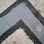 Photo n° 2 de l'avis de nolwenn.l fait le 29/08/2023 à 07:18 pour Paysagiste des Mauges à Beaupréau-en-Mauges