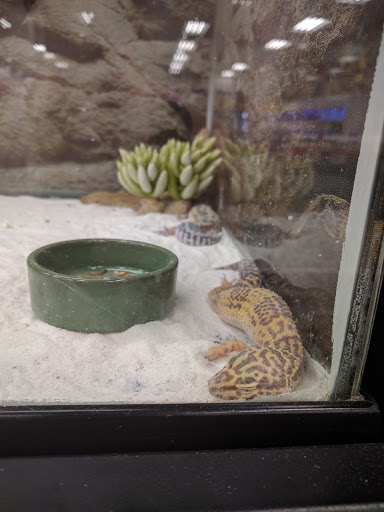 Pet Supply Store «Petco Animal Supplies», reviews and photos, 2752 Veterans Rd W, Staten Island, NY 10309, USA