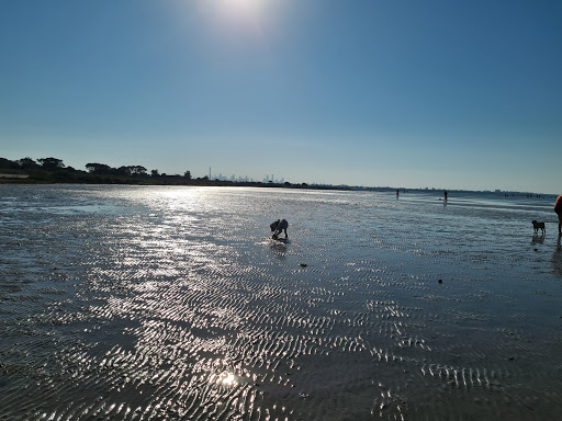 Altona Beach Dog Off Leash Area