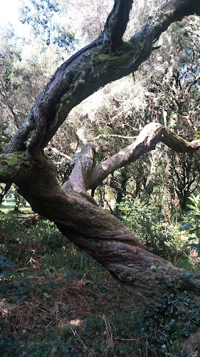 Madeira Fauna & Flora - Agência de viagens