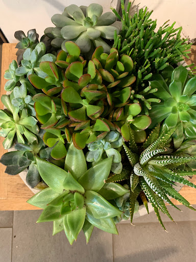 Florist «Red Square Flowers», reviews and photos, 337 W Mifflin St, Madison, WI 53703, USA