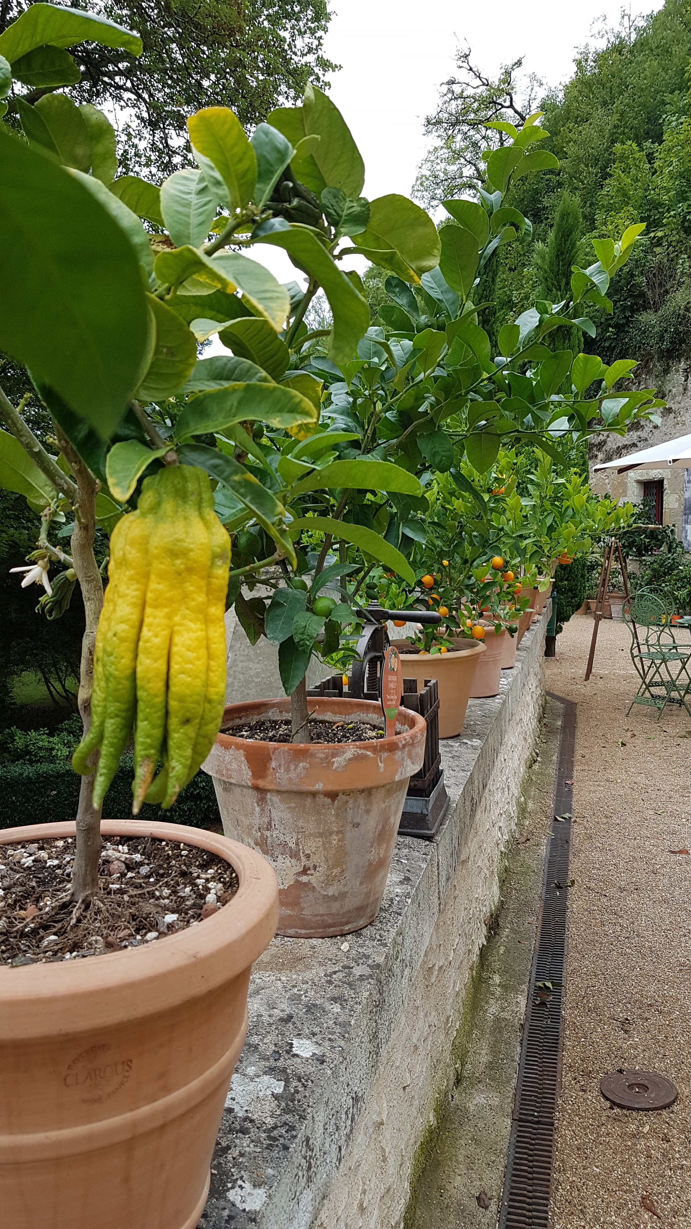 Photo n° 2 de l'avis de Sophie.o fait le 05/08/2023 à 15:16