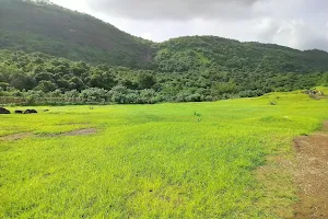 Belapur Waterfalls image