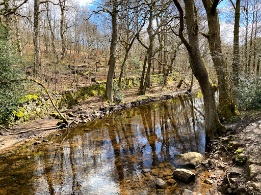 Agden Bog Nature Reserve