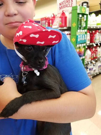 Pet Supply Store «Petco Animal Supplies», reviews and photos, 1985 N Pebble Creek Pkwy, Goodyear, AZ 85395, USA