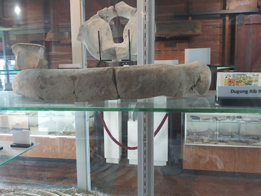 Museum «Phosphate Museum», reviews and photos, 101 SE 1st St, Mulberry, FL 33860, USA