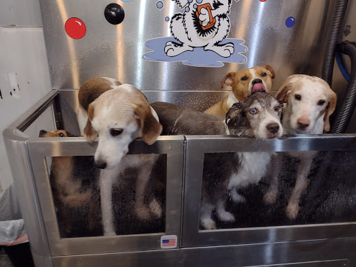 Pet Groomer «Belly scRubs Self Service Pet Wash», reviews and photos, 119 WV-34 #1, Hurricane, WV 25526, USA
