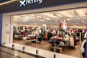 Hering Store Shopping Praiamar image
