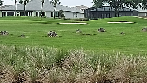 Golf Course «Candler Hills Golf Course», reviews and photos, 8137 SW 90th Terrace Rd, Ocala, FL 34481, USA