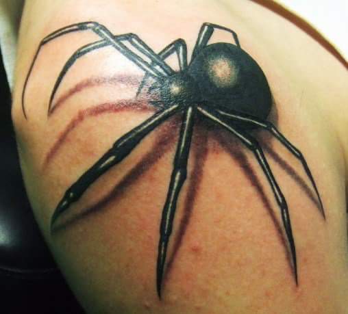 Tattoo Shop «Evolution Tattoo», reviews and photos, 1092 S Virginia St, Reno, NV 89502, USA