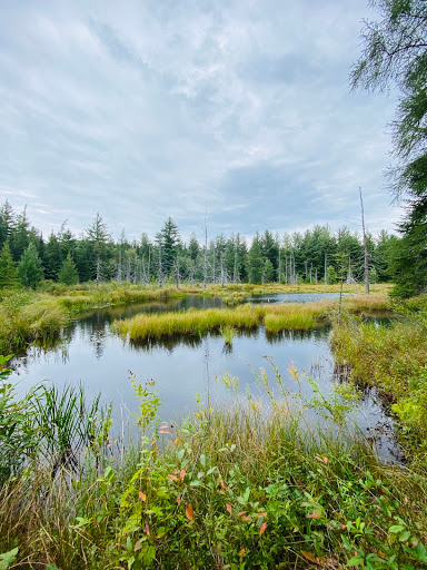 Cranberry Lake 50 trailhead