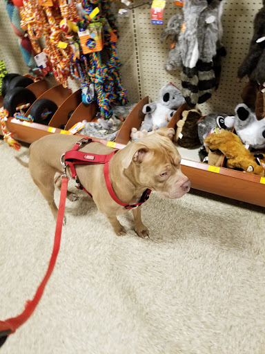 Pet Supply Store «PetSmart», reviews and photos, 1460 Koester Rd, Forsyth, IL 62535, USA