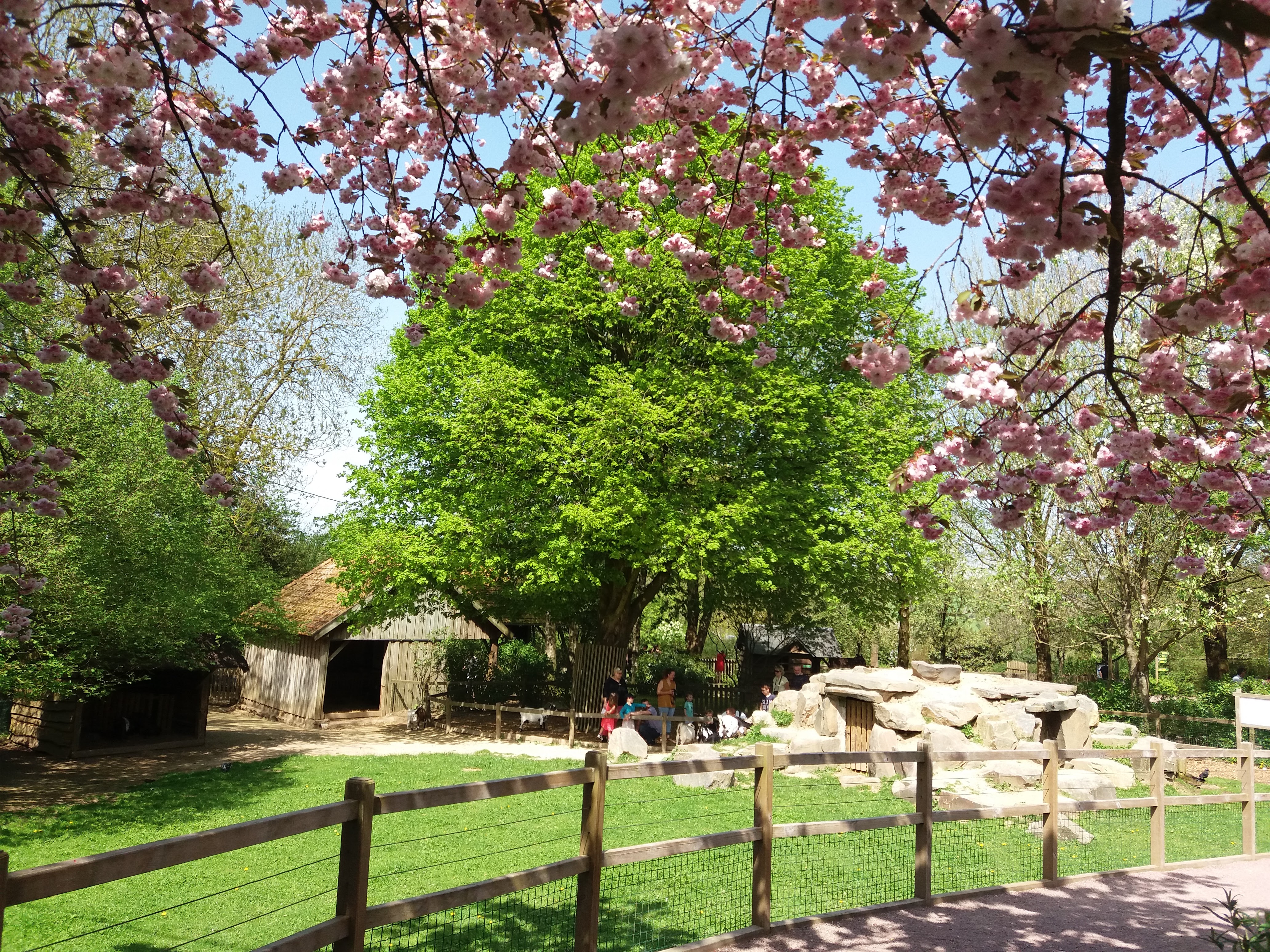 Photo n° 12 de l'avis de Mira.o fait le 22/04/2018 à 15:53